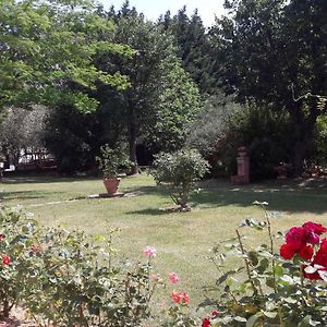 Villa Fabbri